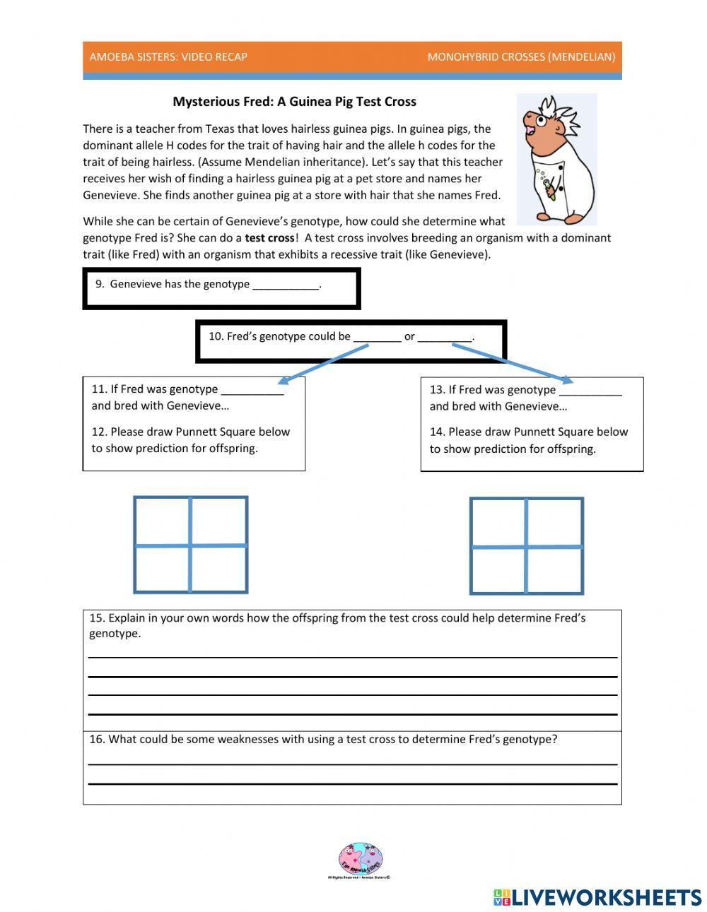 85 Speciation Worksheets Answer Key 72