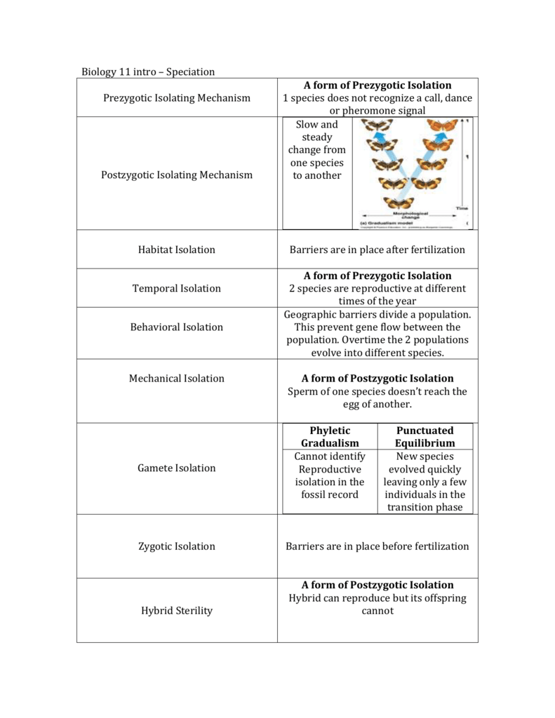 85 Speciation Worksheets Answer Key 80