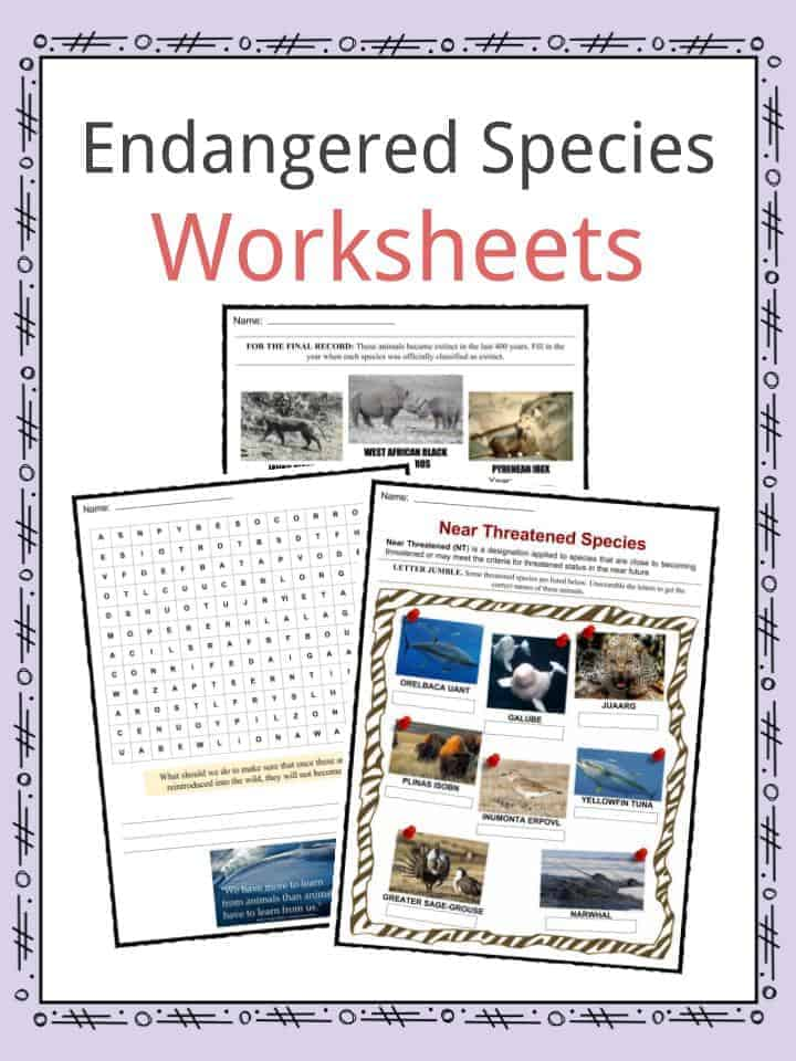 85 Speciation Worksheets Answer Key 82