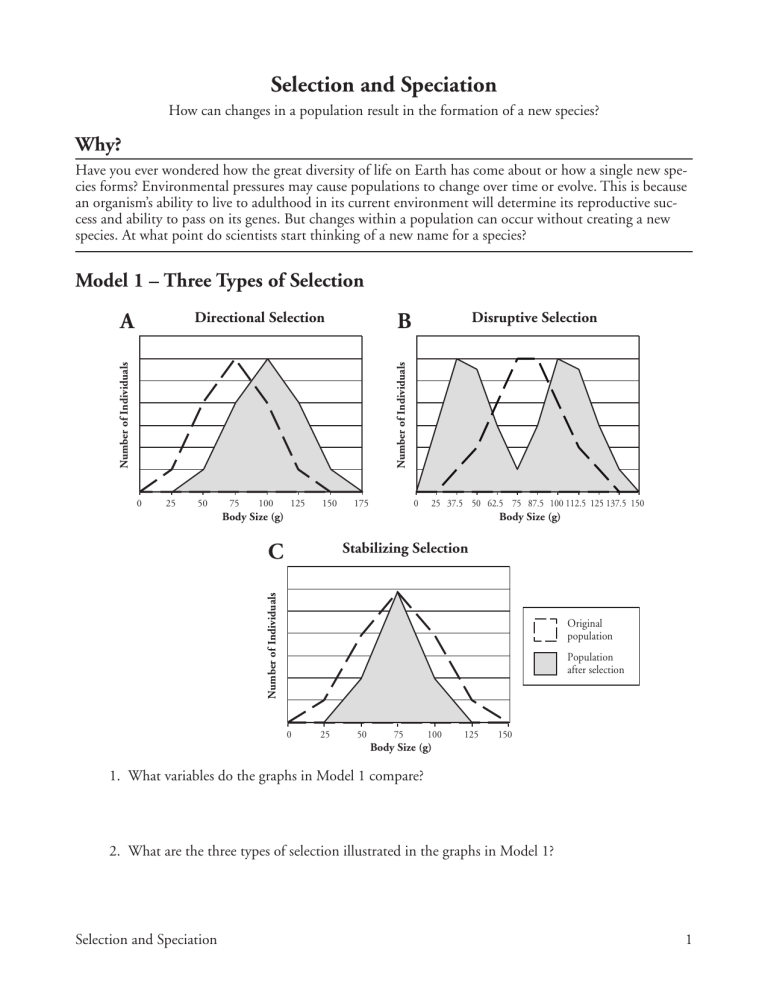 85 Speciation Worksheets Answer Key 83