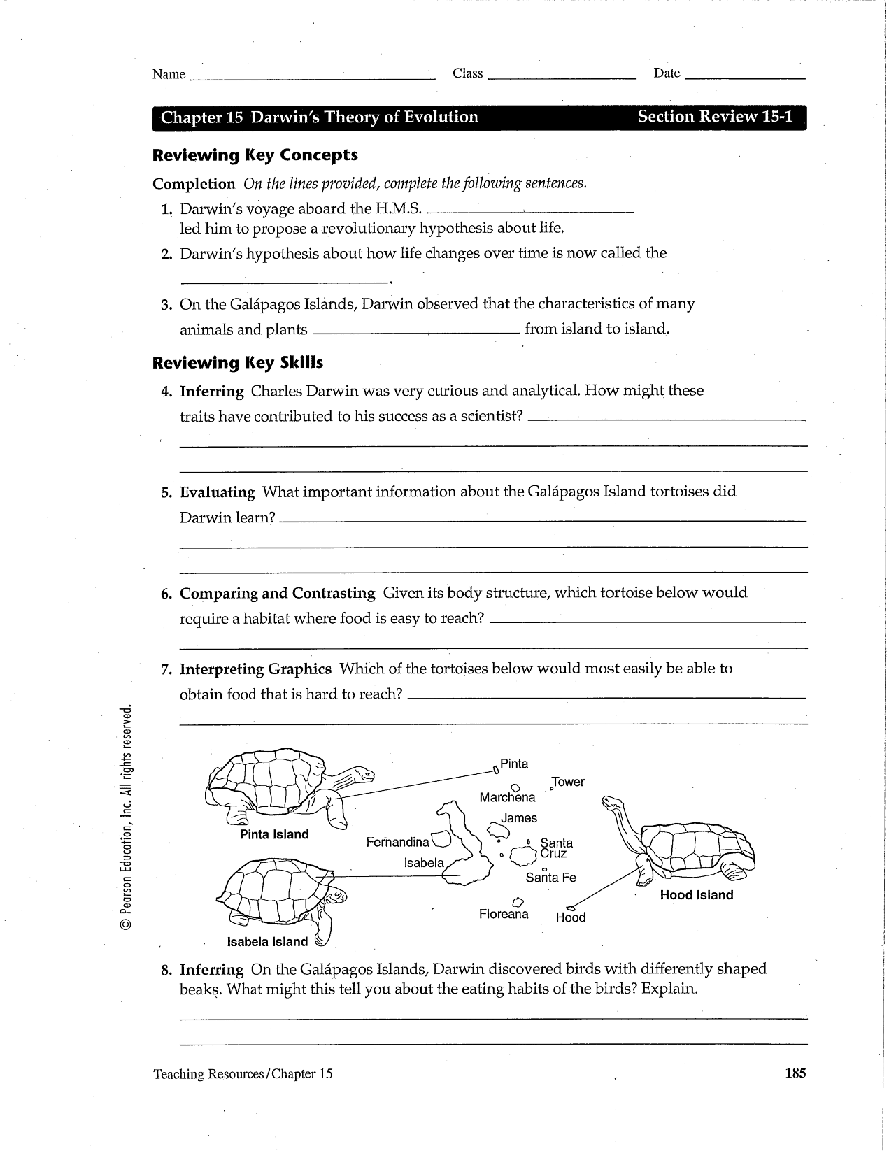 90 Evolution Natural Selection Worksheets 1