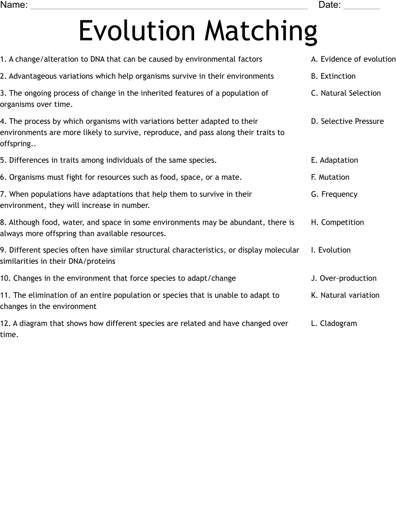 90 Evolution Natural Selection Worksheets 2