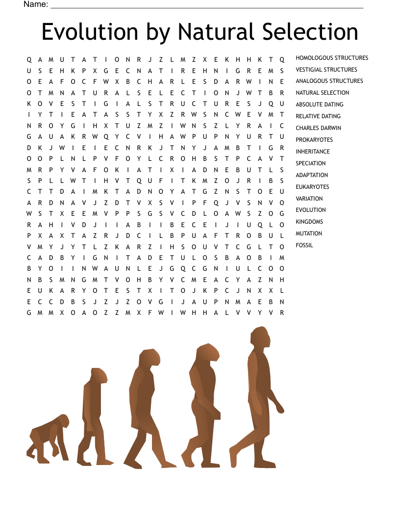 90 Evolution Natural Selection Worksheets 35