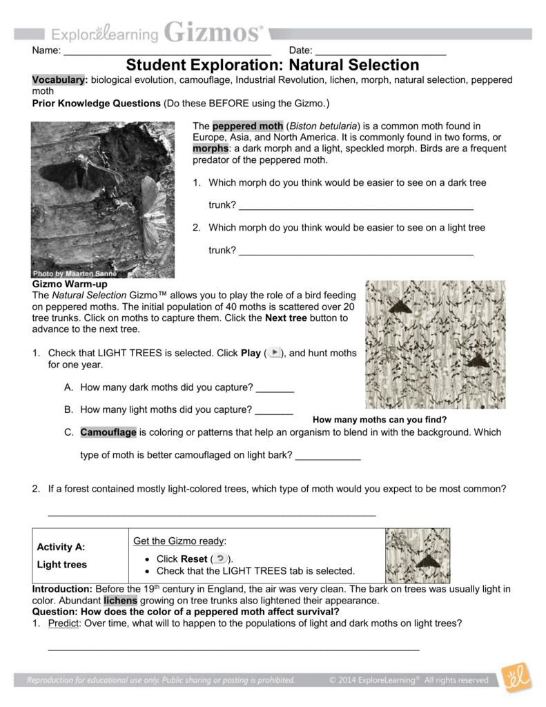 90 Evolution Natural Selection Worksheets 37