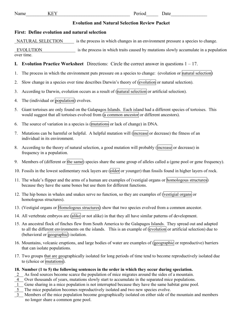 90 Evolution Natural Selection Worksheets 50