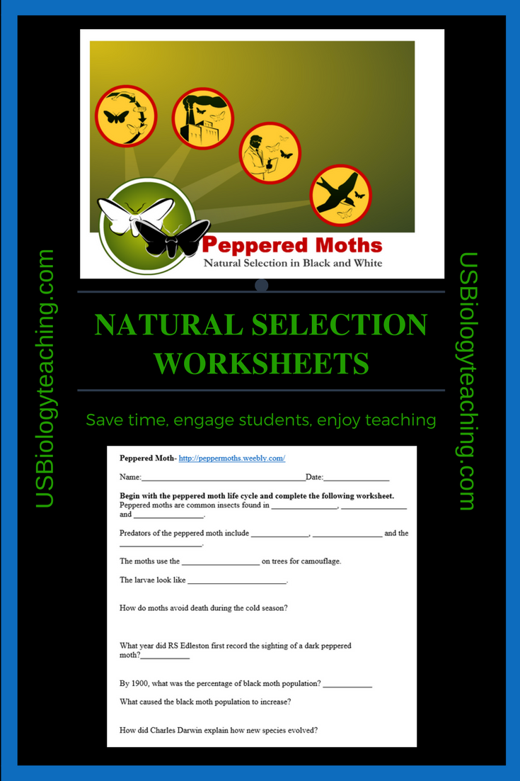 90 Evolution Natural Selection Worksheets 52