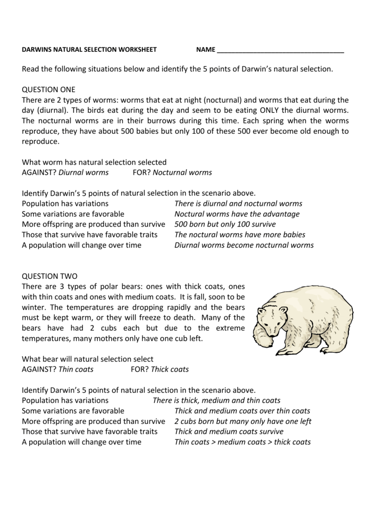 90 Evolution Natural Selection Worksheets 53