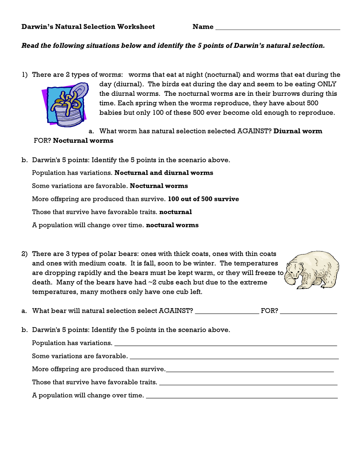 90 Evolution Natural Selection Worksheets 58