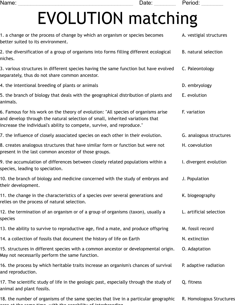 90 Evolution Natural Selection Worksheets 62