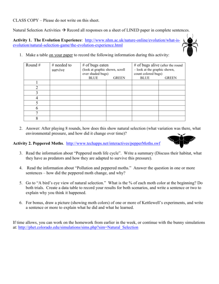 90 Evolution Natural Selection Worksheets 63