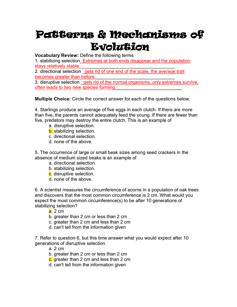 90 Evolution Natural Selection Worksheets 64