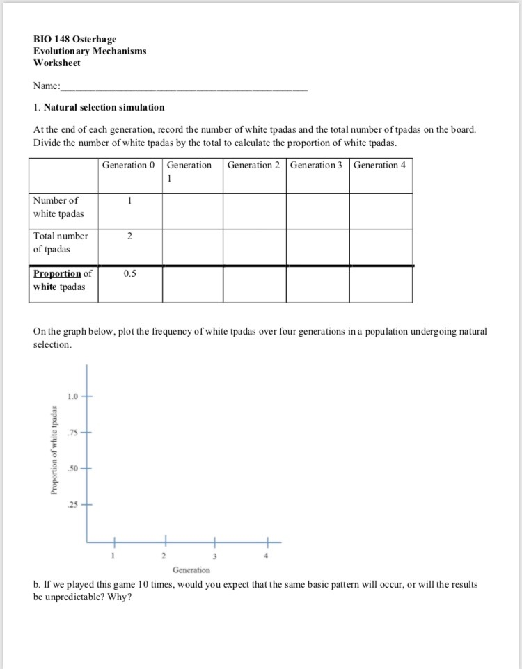 90 Evolution Natural Selection Worksheets 67