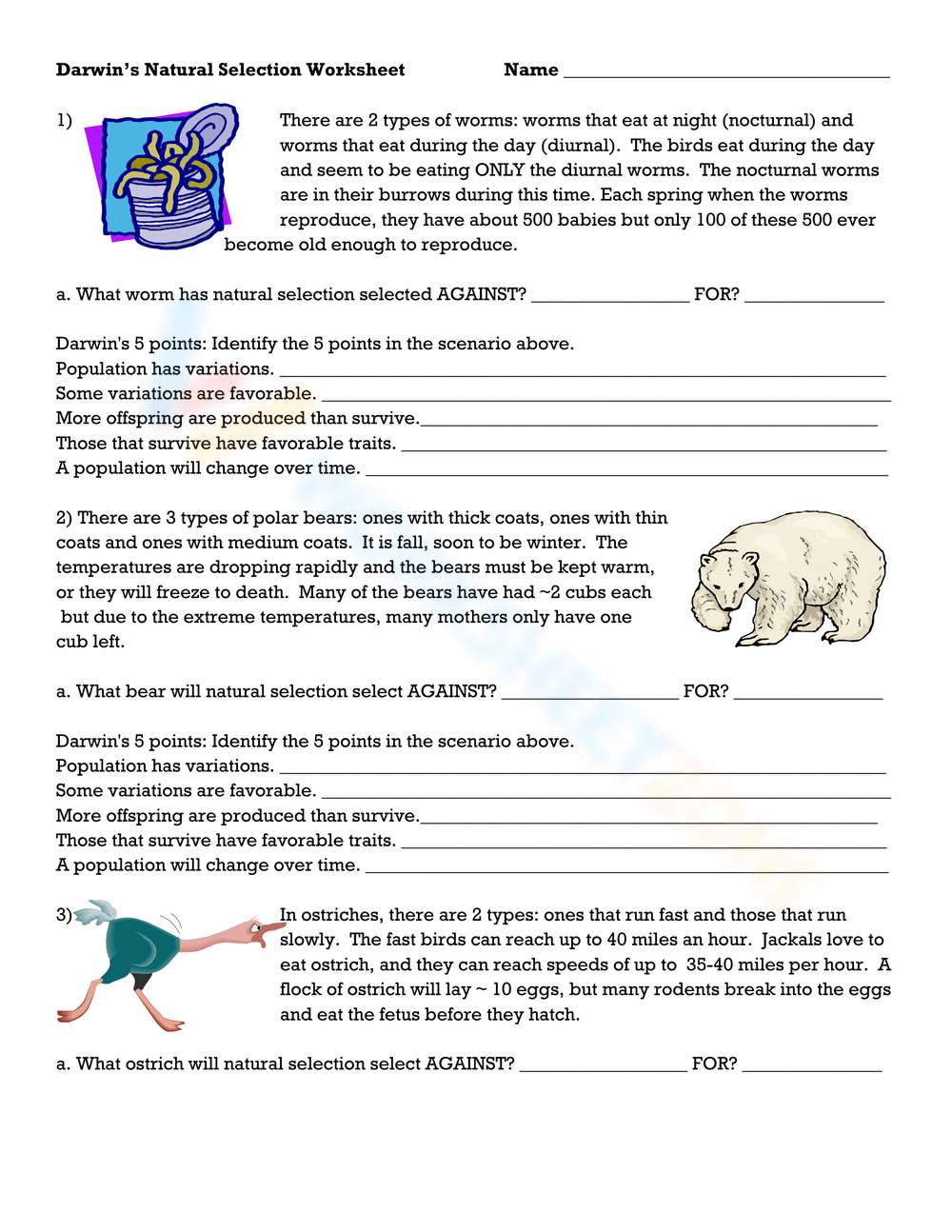 90 Evolution Natural Selection Worksheets 72