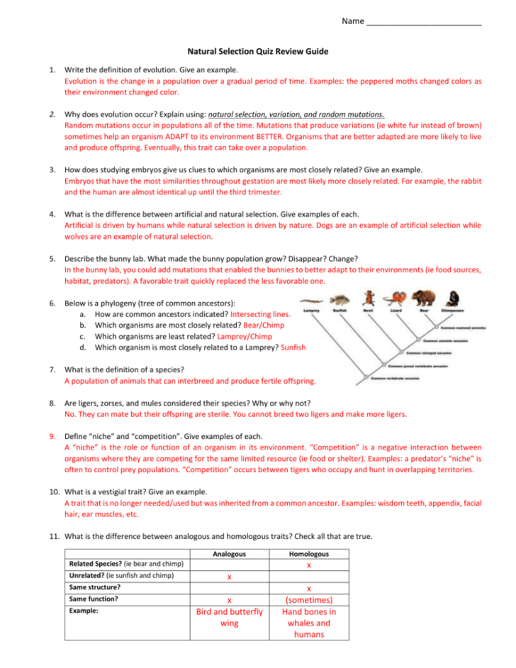 90 Evolution Natural Selection Worksheets 75