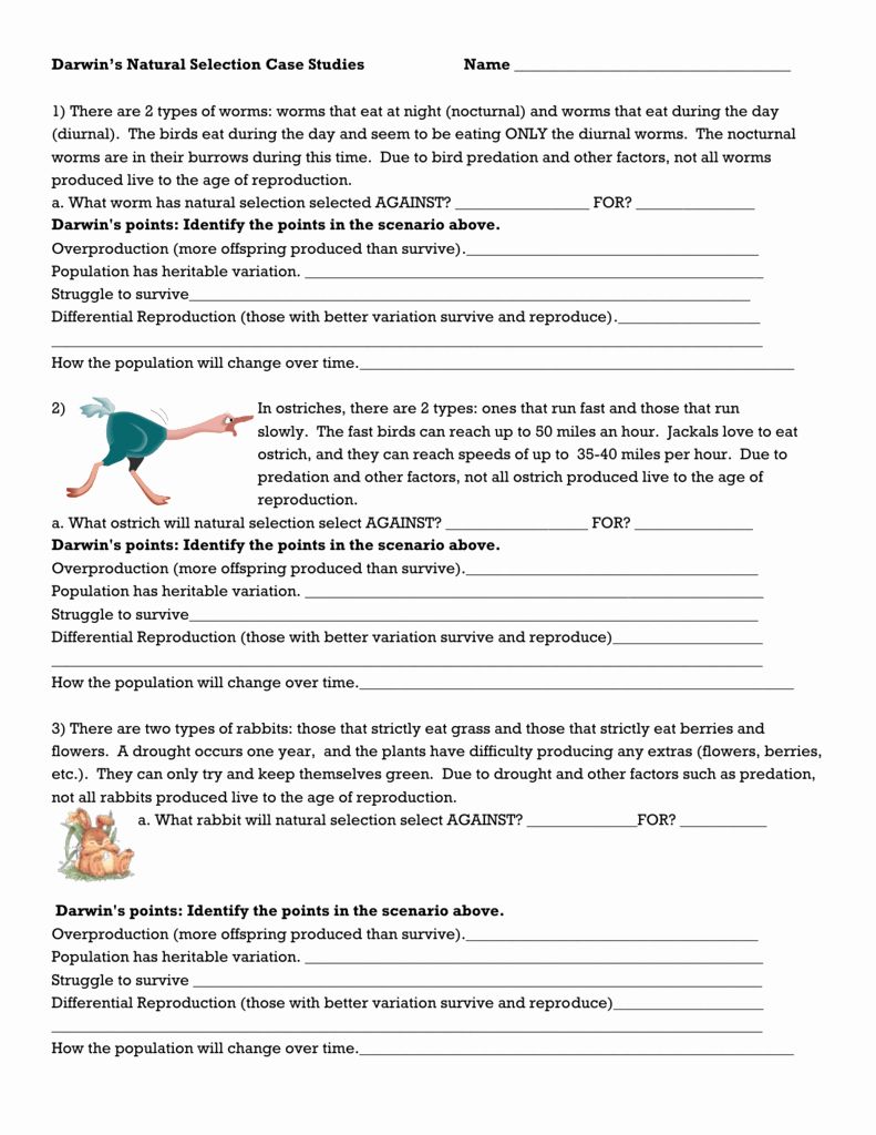 90 Evolution Natural Selection Worksheets 76