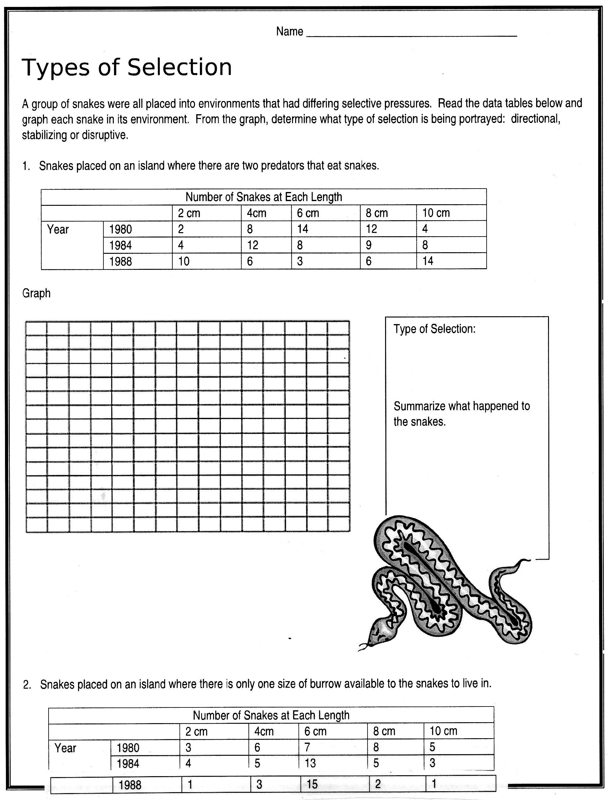 90 Evolution Natural Selection Worksheets 77