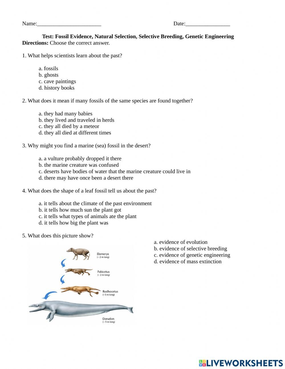 90 Evolution Natural Selection Worksheets 78