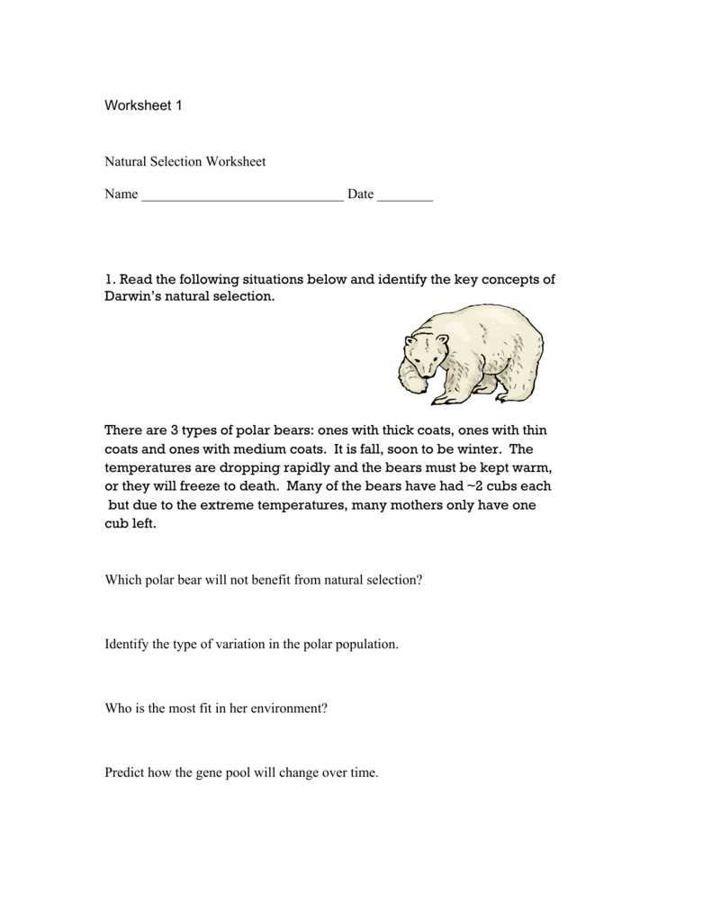 90 Evolution Natural Selection Worksheets 84