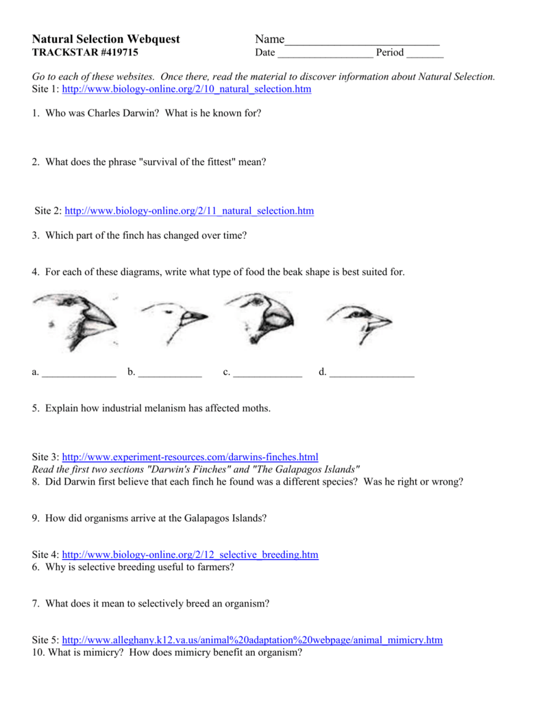 90 Evolution Natural Selection Worksheets 9