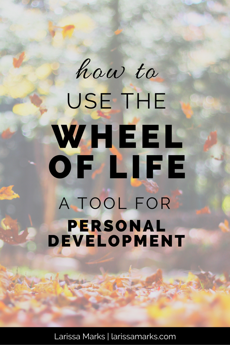 90 Wheel Of Life Worksheets 66