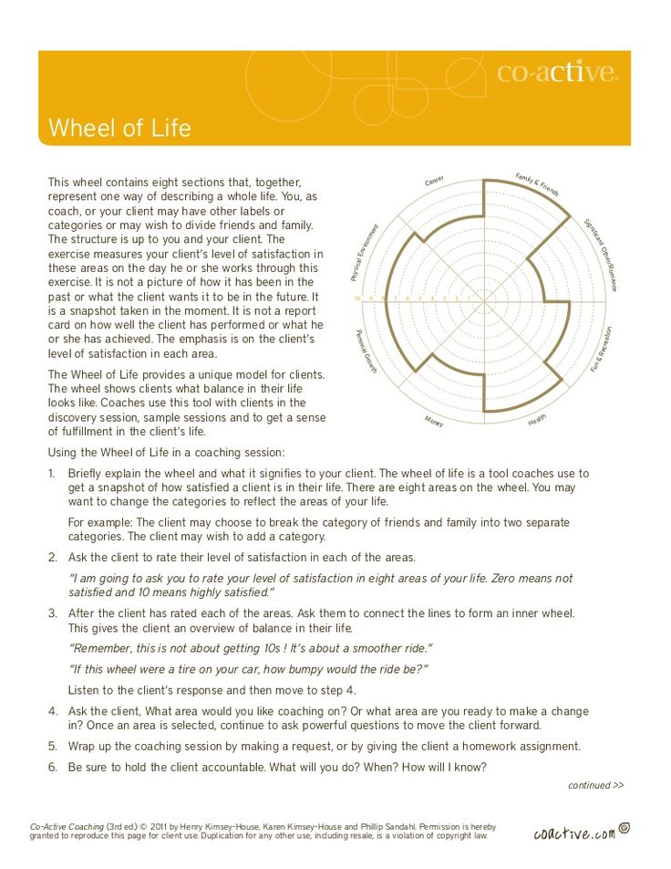 90 Wheel Of Life Worksheets 80