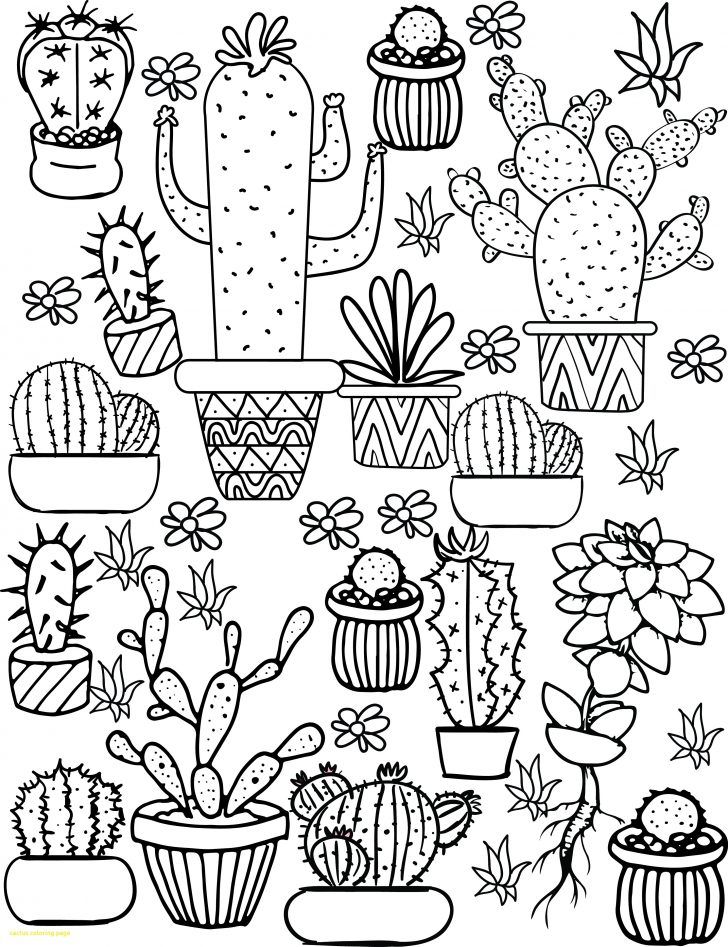 Best 45 Cute Summer Coloring Pages Aesthetic Ideas 18