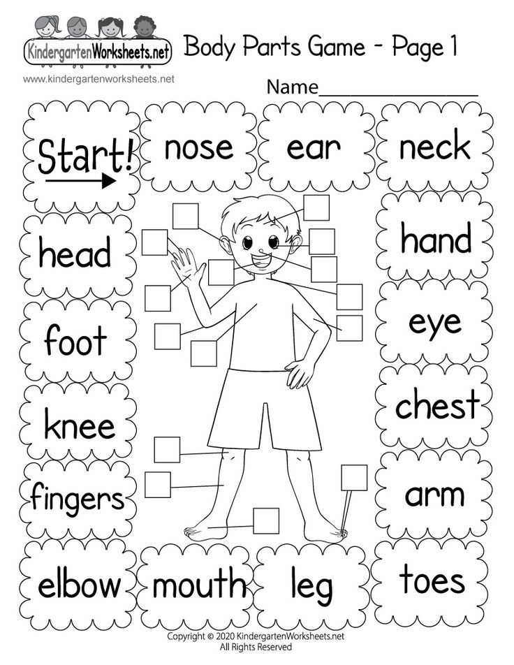 Best 45 Kindergarten Science Worksheets Ideas 10