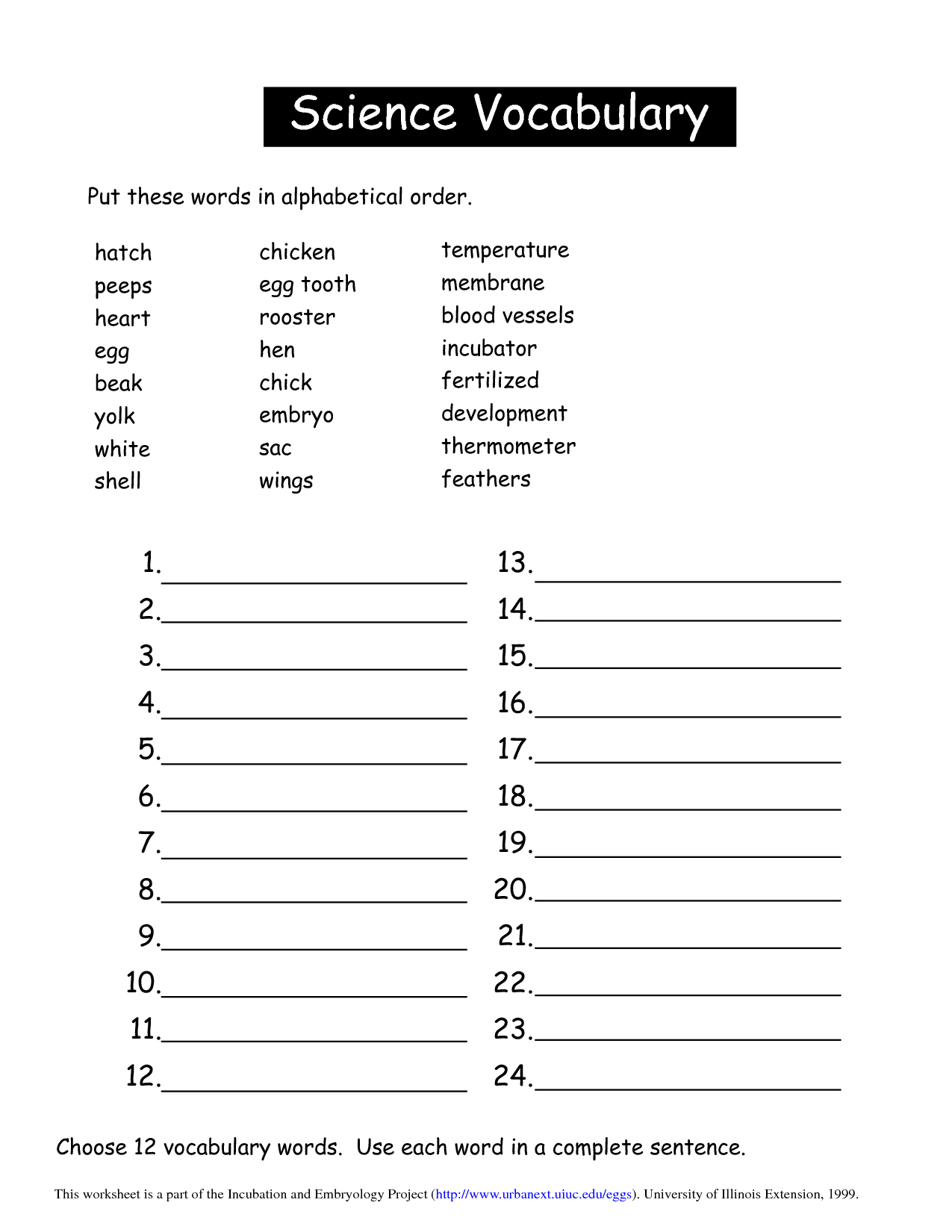 Best 45 Kindergarten Science Worksheets Ideas 11