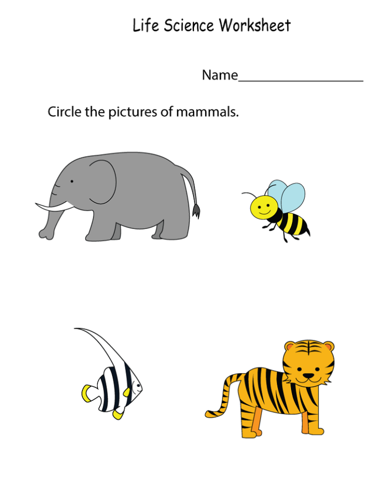 Best 45 Kindergarten Science Worksheets Ideas 14