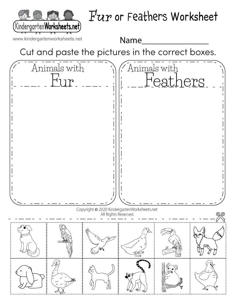 Best 45 Kindergarten Science Worksheets Ideas 15