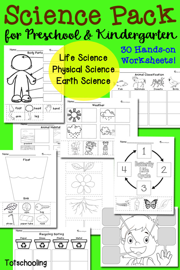 Best 45 Kindergarten Science Worksheets Ideas 16