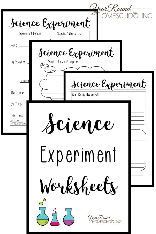 Best 45 Kindergarten Science Worksheets Ideas 19