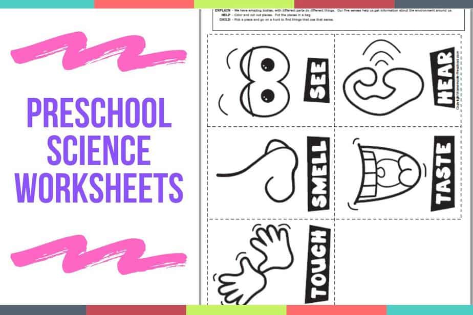 Best 45 Kindergarten Science Worksheets Ideas 26