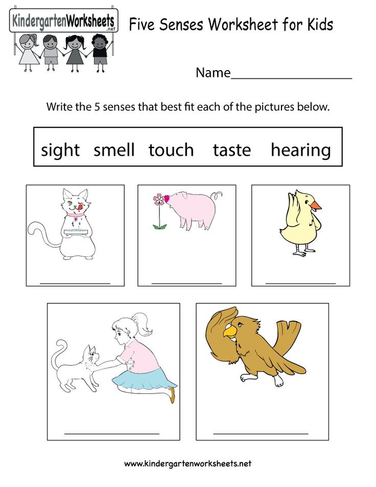 Best 45 Kindergarten Science Worksheets Ideas 29