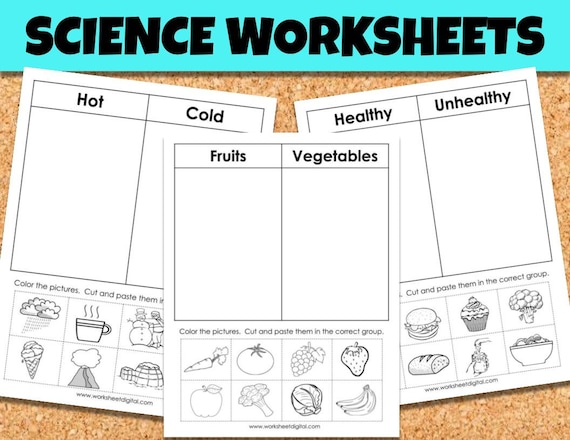 Best 45 Kindergarten Science Worksheets Ideas 38