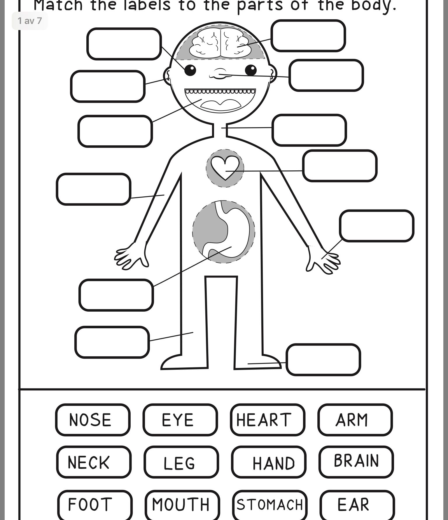 Best 45 Kindergarten Science Worksheets Ideas 44