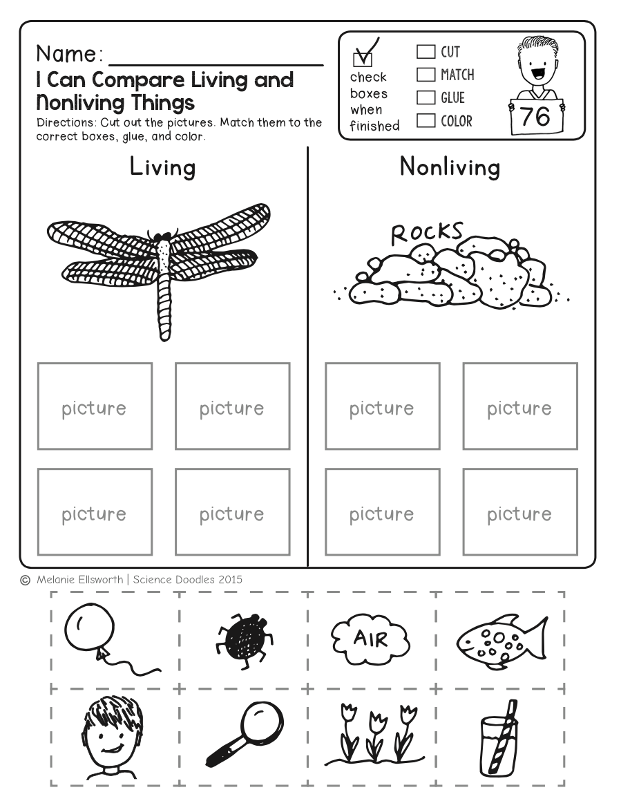 Best 45 Kindergarten Science Worksheets Ideas 8