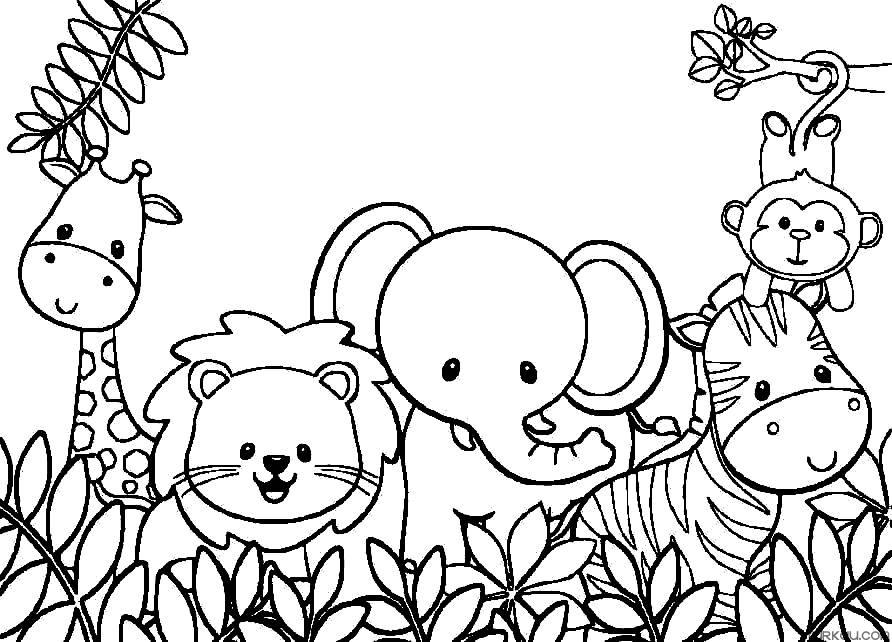 Best 45 Summer Coloring Pages Animals Ideas 12