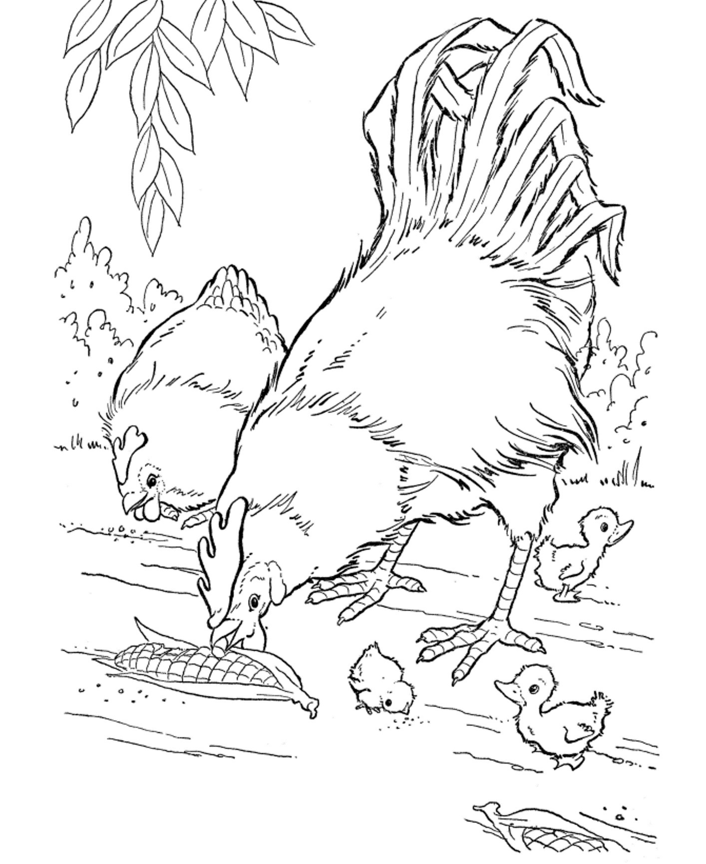 Best 45 Summer Coloring Pages Animals Ideas 18