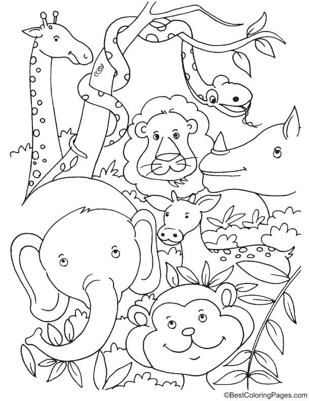 Best 45 Summer Coloring Pages Animals Ideas 43