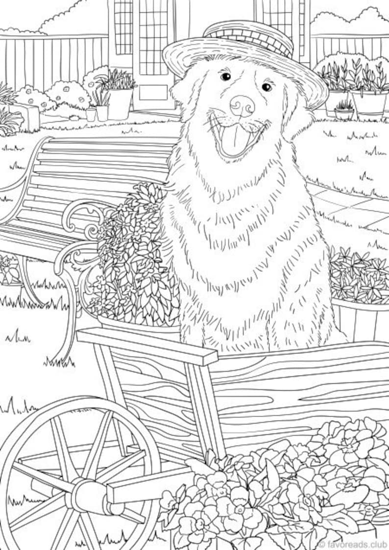 Best 45 Summer Time Coloring Pages For Adults Ideas 15