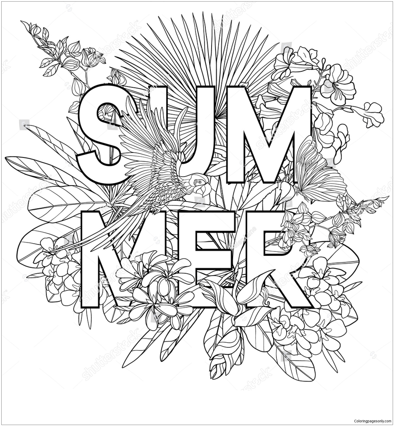 Best 45 Summer Time Coloring Pages For Adults Ideas 34