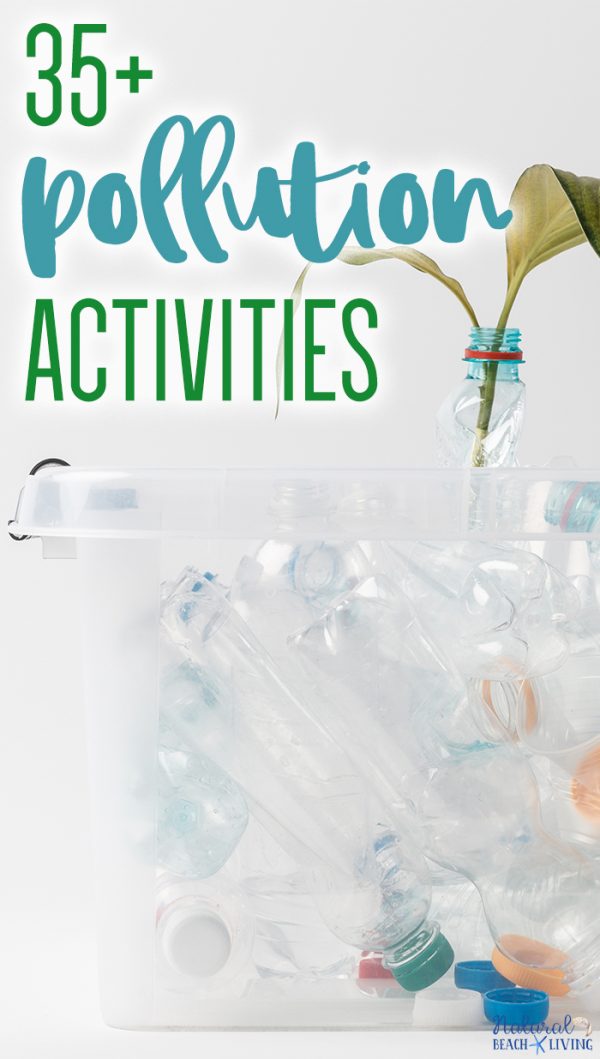 Get 85 Festival Environmental Activities Ideas 15