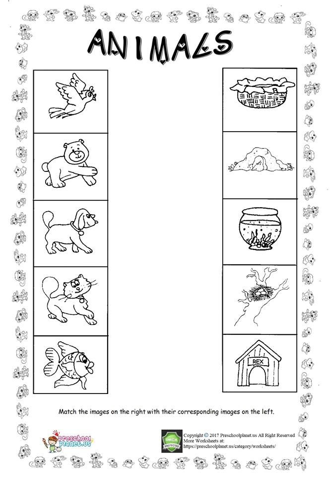 30 English Worksheets For Kids Kindergarten Animals
