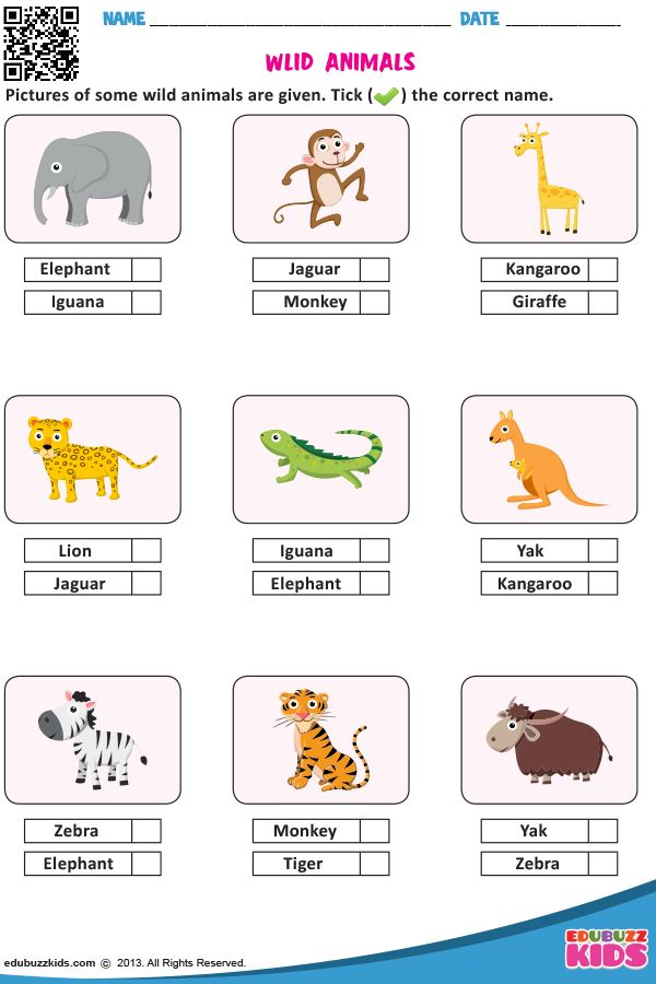 30 English Worksheets For Kids Kindergarten Animals