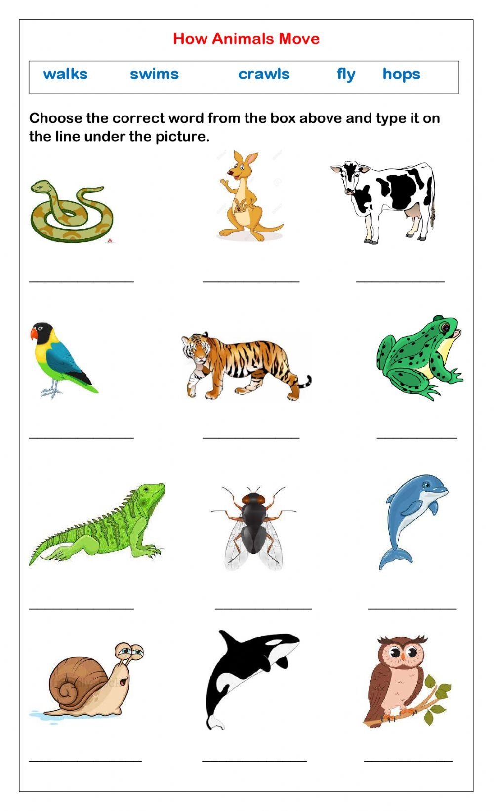 30 English Worksheets For Kids Kindergarten Animals