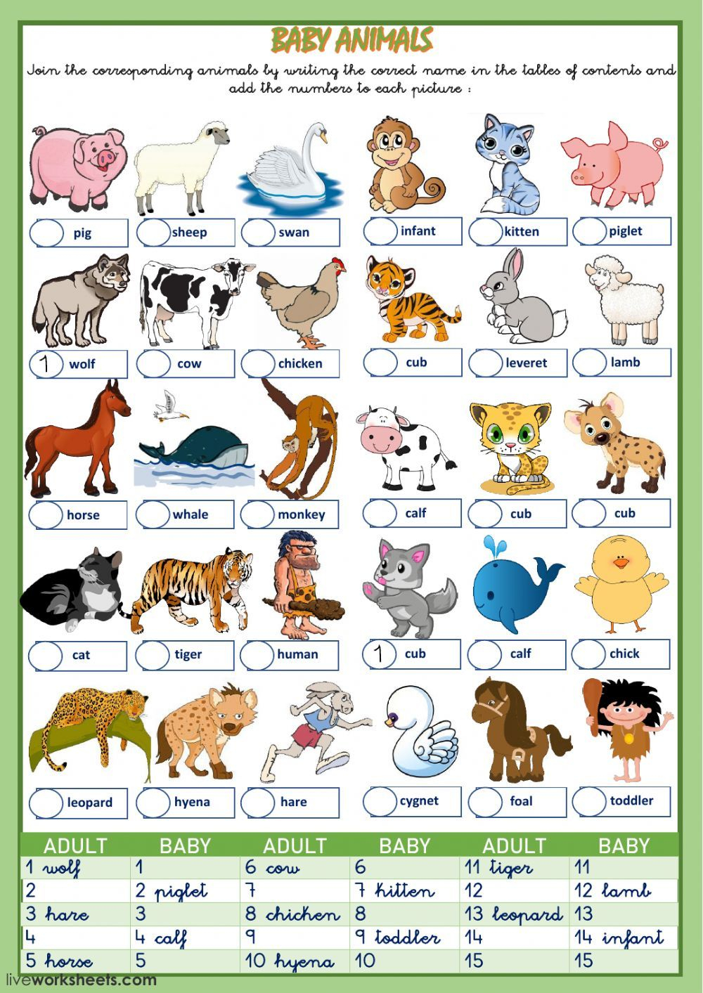 30 English Worksheets For Kids Kindergarten Animals
