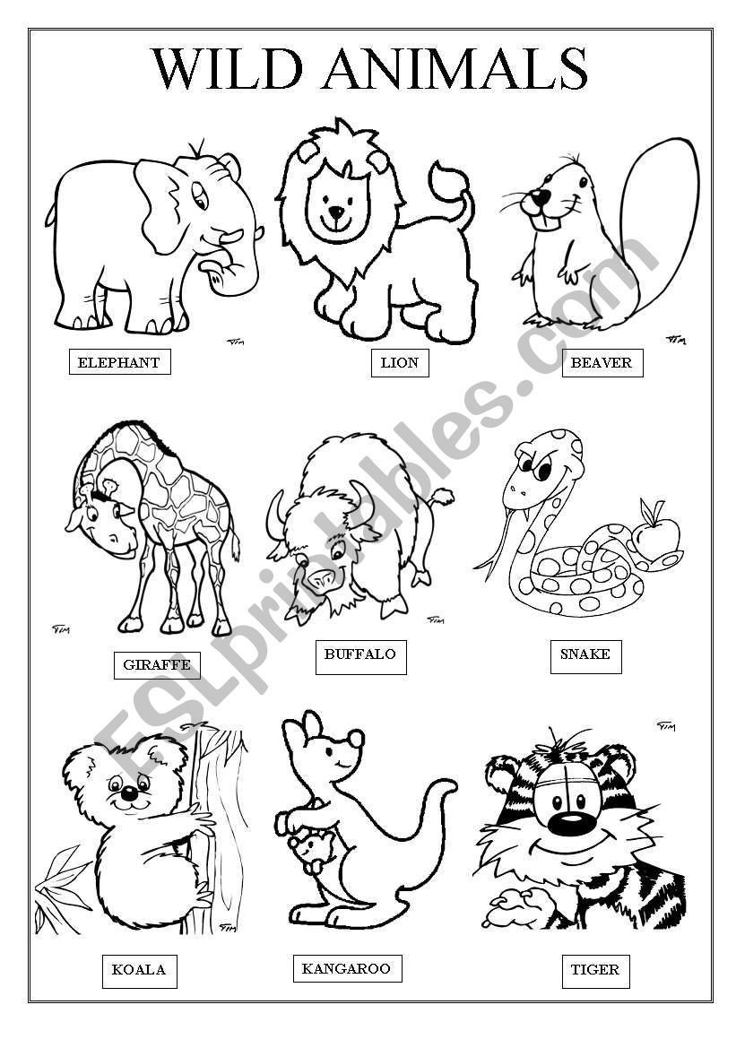 30 English Worksheets For Kids Kindergarten Animals