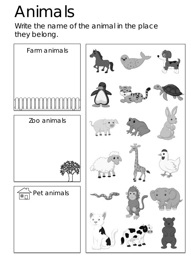 30 English Worksheets For Kids Kindergarten Animals