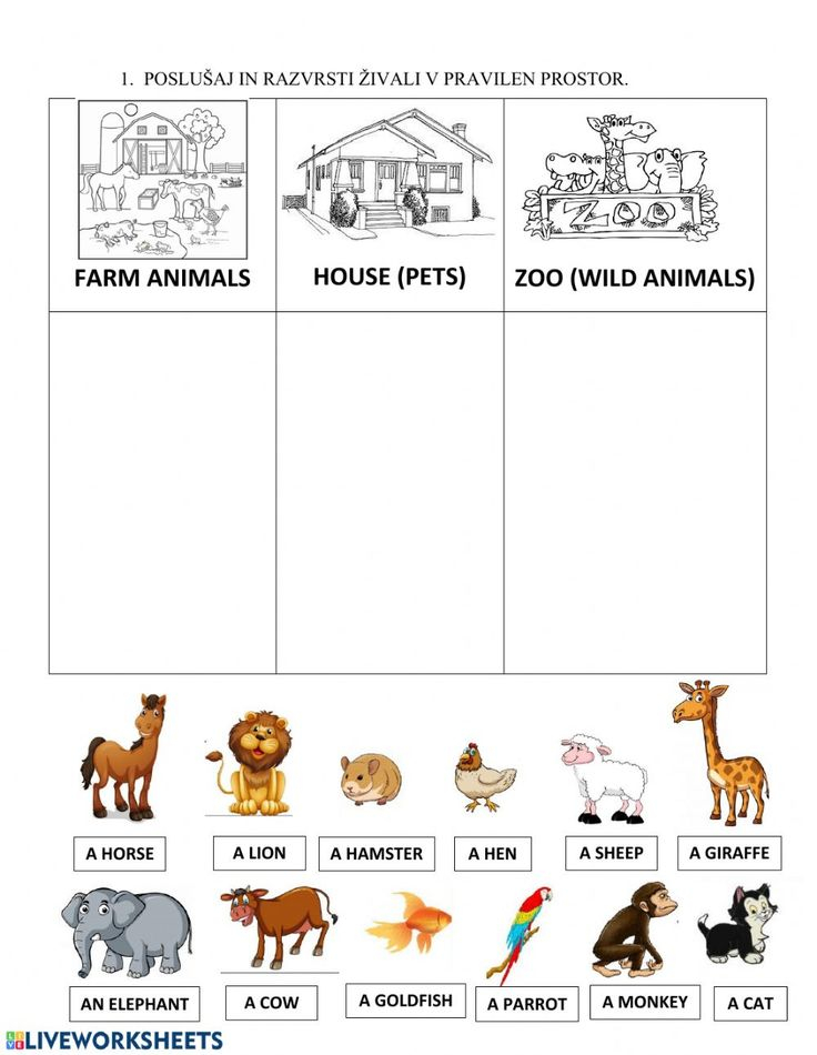 30 English Worksheets For Kids Kindergarten Animals